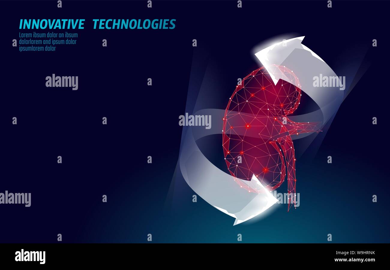 Gesunde Nieren internen Organ 3d-Low Poly geometrische Modell. Urologie system Medizin die Behandlung von Krankheiten. Zukunft Wissenschaft Technologie leuchtende Pfeile Vektor Stock Vektor