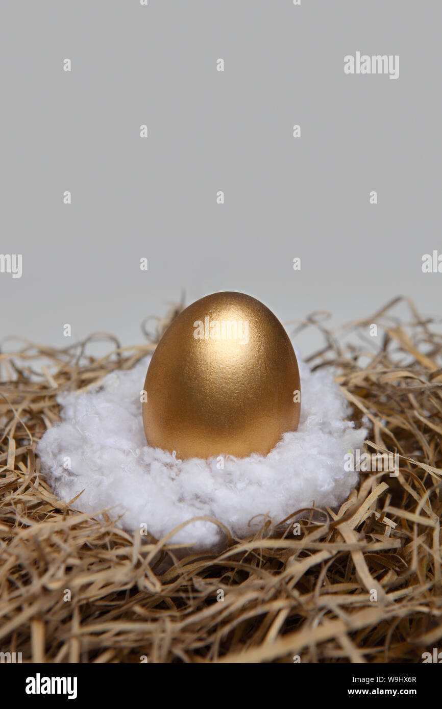 Goldenes Ei in einem nest Stockfoto