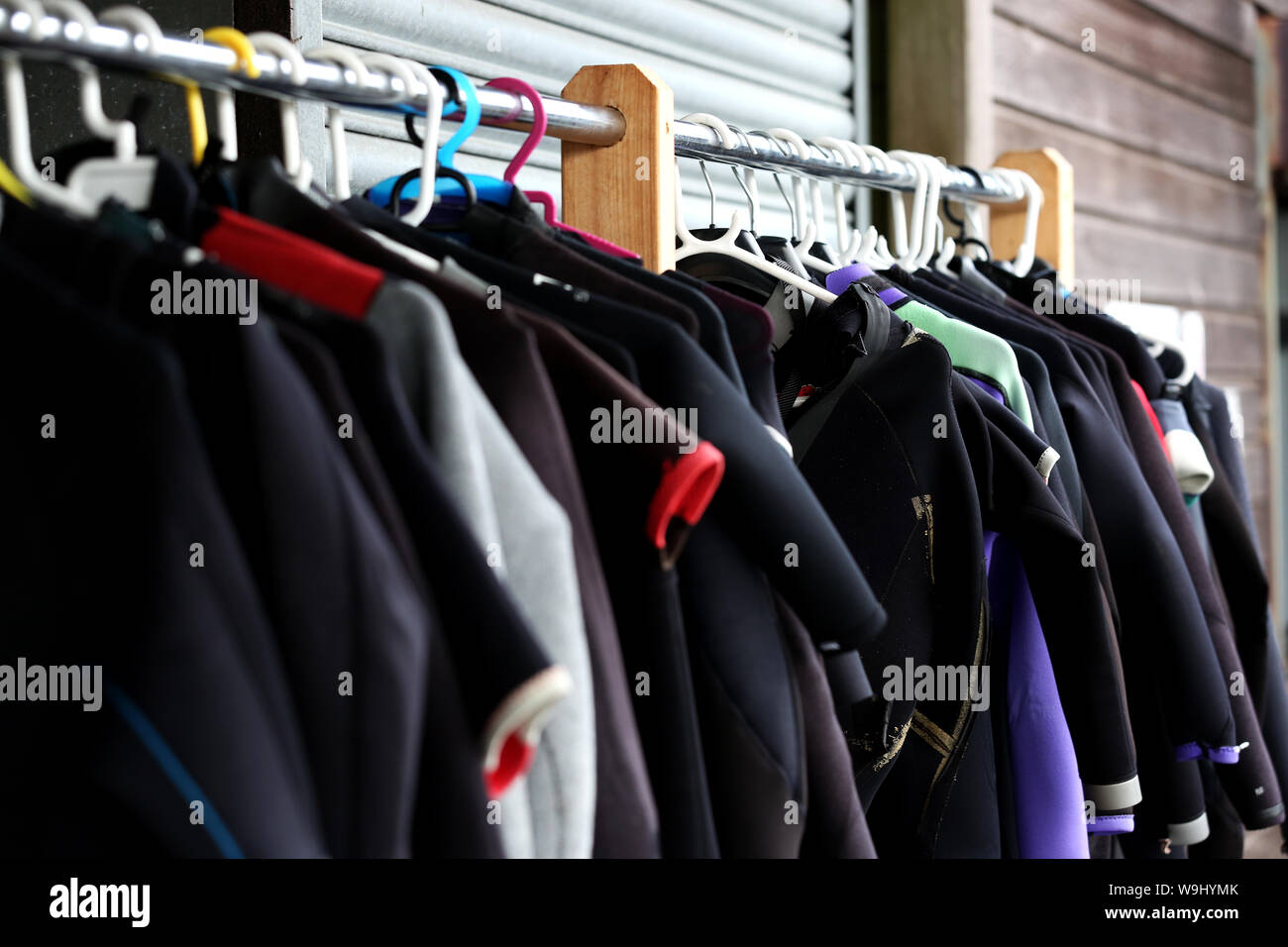 Schwimmen am See in Chichester, West Sussex, Großbritannien. Stockfoto