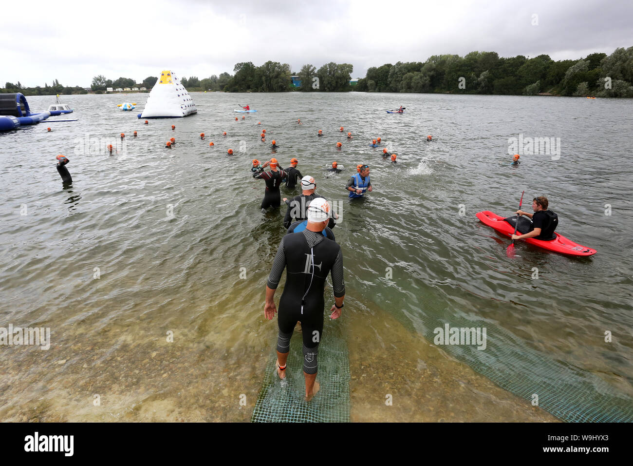 Schwimmen am See in Chichester, West Sussex, Großbritannien. Stockfoto