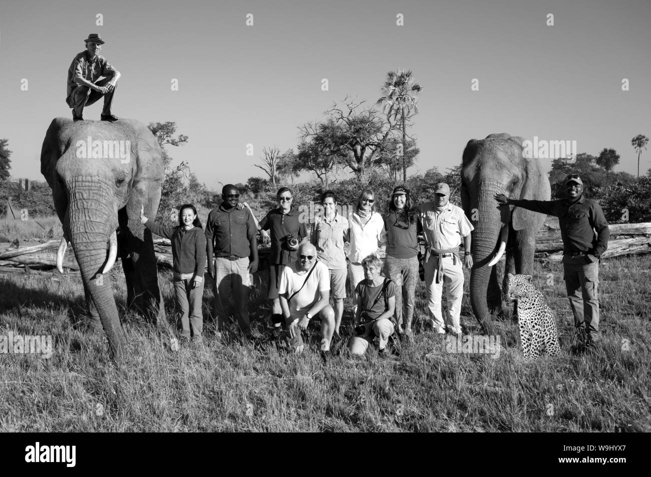 Afrika, Südliches Afrika, Afrika, Botswana, Okavango, Abu, Gruppe mit Elefanten, 30074173 *** Local Caption *** Afrika, Südliches Afrika, Afrikanische, Bot Stockfoto