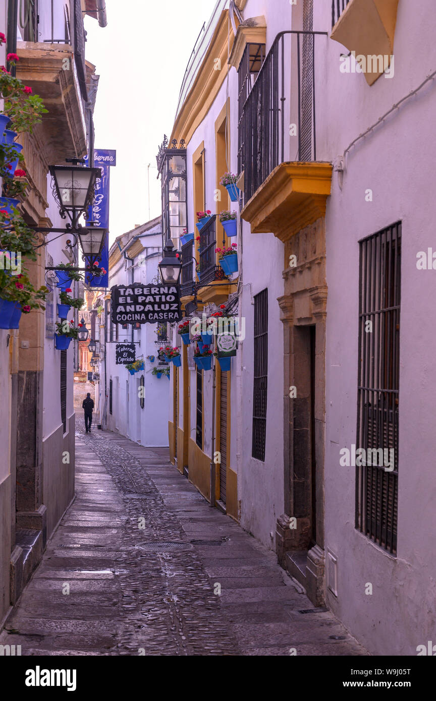 Europa, Europäische, Iberia, Spanien, Andalusien, Cordoba, Straße in der Altstadt, 30074243 *** Local Caption *** Europa, Europäische, Iberia, Spanien, Andalusien, C Stockfoto