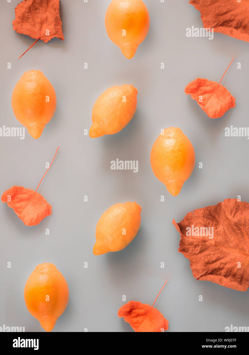 Orange Zitronen und Herbstlaub Muster auf grauem Hintergrund Stockfoto