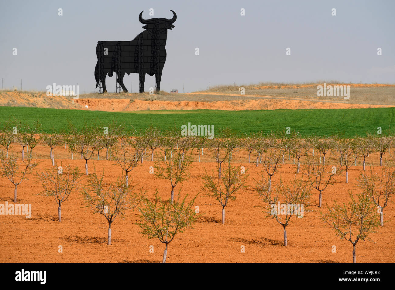 Europa, auf der Iberischen Halbinsel, Spanien, Kastilien-La Mancha, Spanien, Toledo, Osborne Stier Reklametafeln, 30074298 *** Local Caption *** Europa, auf der Iberischen Halbinsel, Spanien, Span Stockfoto
