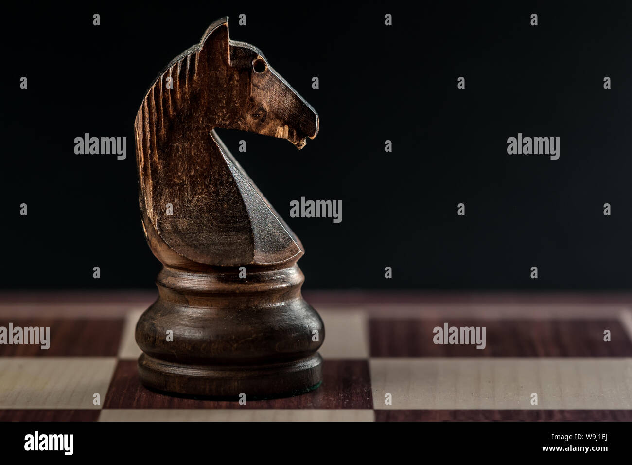 Schwarz chess Ritter allein auf dem Schachbrett, schwarzen Hintergrund, und Copyspace Stockfoto