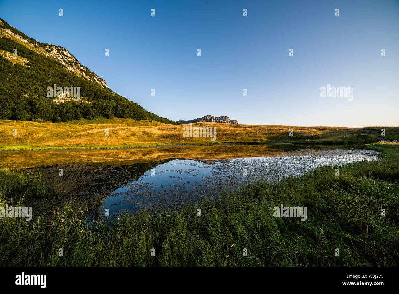 Berg Klippen und Zelengora Borilovacko See, Berg, Dinarischen Alpen, Bosnien und Herzegowina Stockfoto