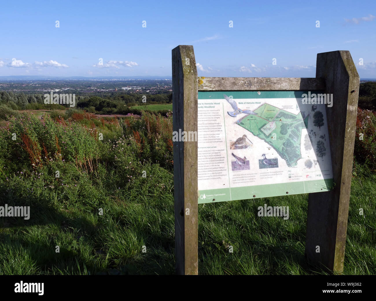 Forstverwaltung England unterzeichnen, Vögel, Bäume, Flora und Fauna in der horrocks Wald Gemeinde Wald, Bolton und Manchester in der Ferne Stockfoto