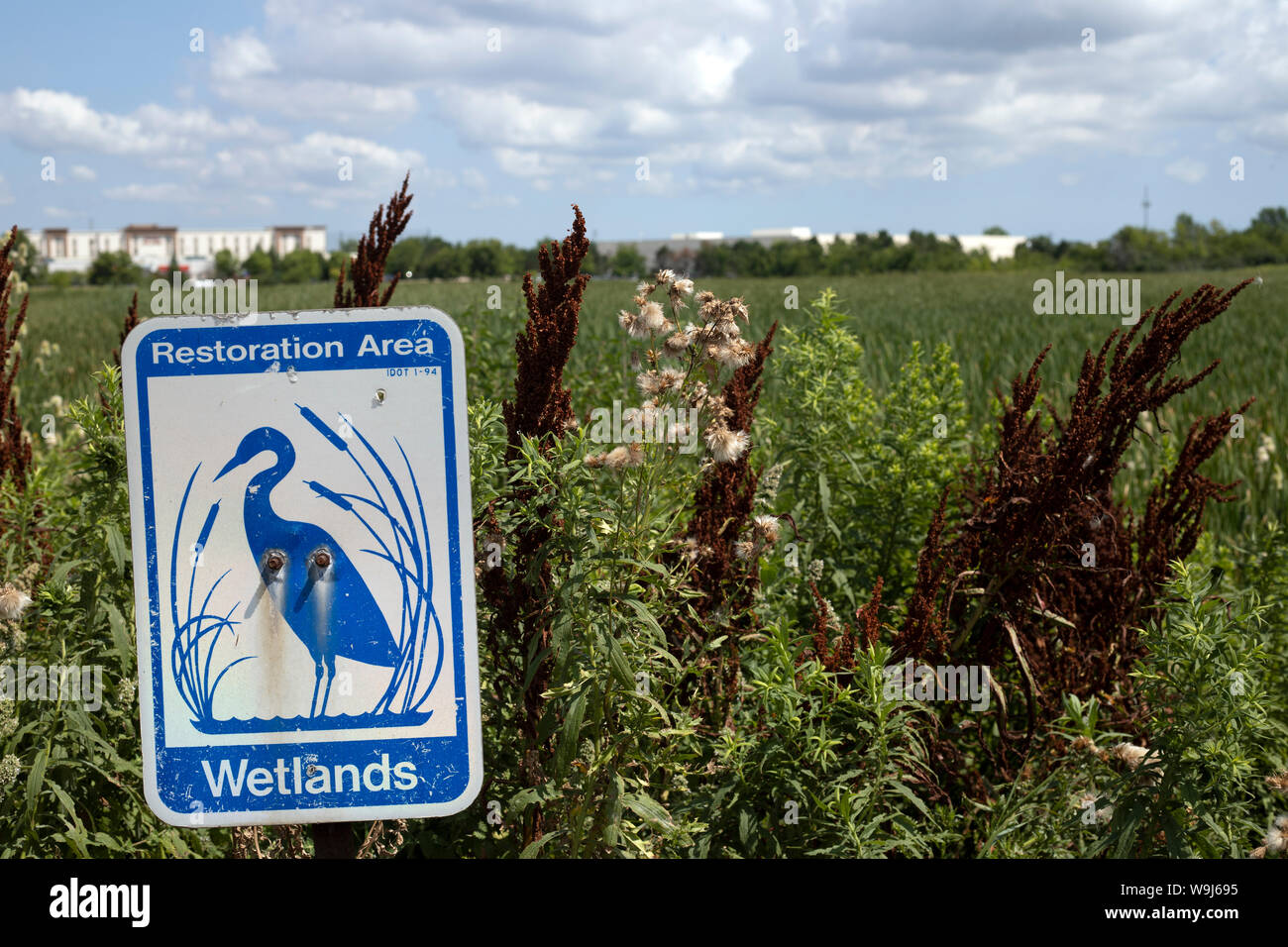 Libertyville, IL/USA - 8/1/2019: Feuchtgebiete Restaurierung Gegend im nördlichen Illinois. Stockfoto