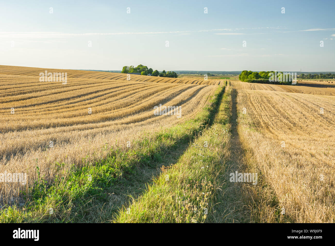 Straße durch hügeligen Feldern, Horizont und der Himmel. Staw, Polen Stockfoto