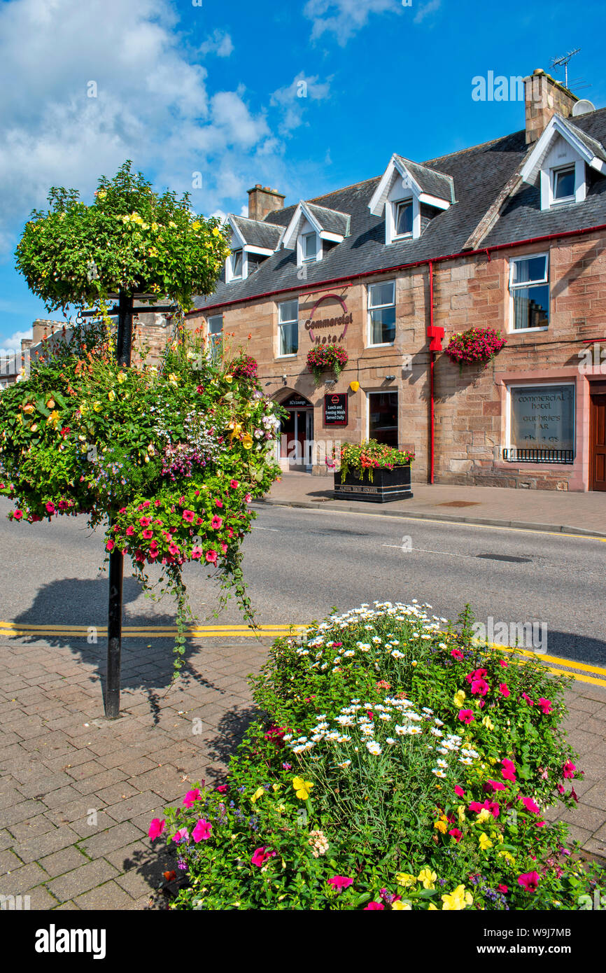 ALNESS ROSS UND CROMARTY SCHOTTLAND DORF STADT IN VOLLER BLÜTE GLORREICHE ZEIGT VON bunten Blumen Stockfoto
