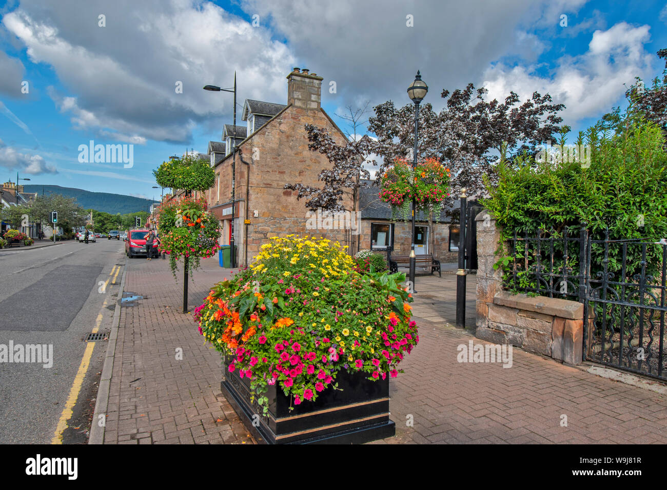 ALNESS ROSS UND CROMARTY SCHOTTLAND DORF STADT IN VOLLER BLÜTE hervorragende Darstellung von bunten Blumen in einem großen Behälter Stockfoto