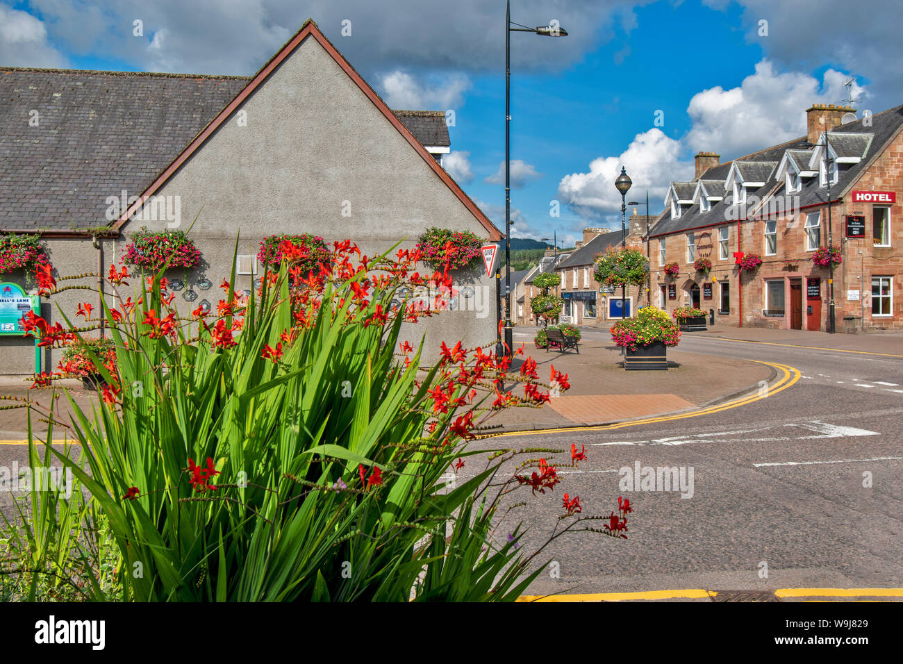 ALNESS ROSS UND CROMARTY SCHOTTLAND DORF STADT IN VOLLER BLÜTE hervorragende Darstellung von bunten Blumen, DIE IN DER HIGH STREET Stockfoto