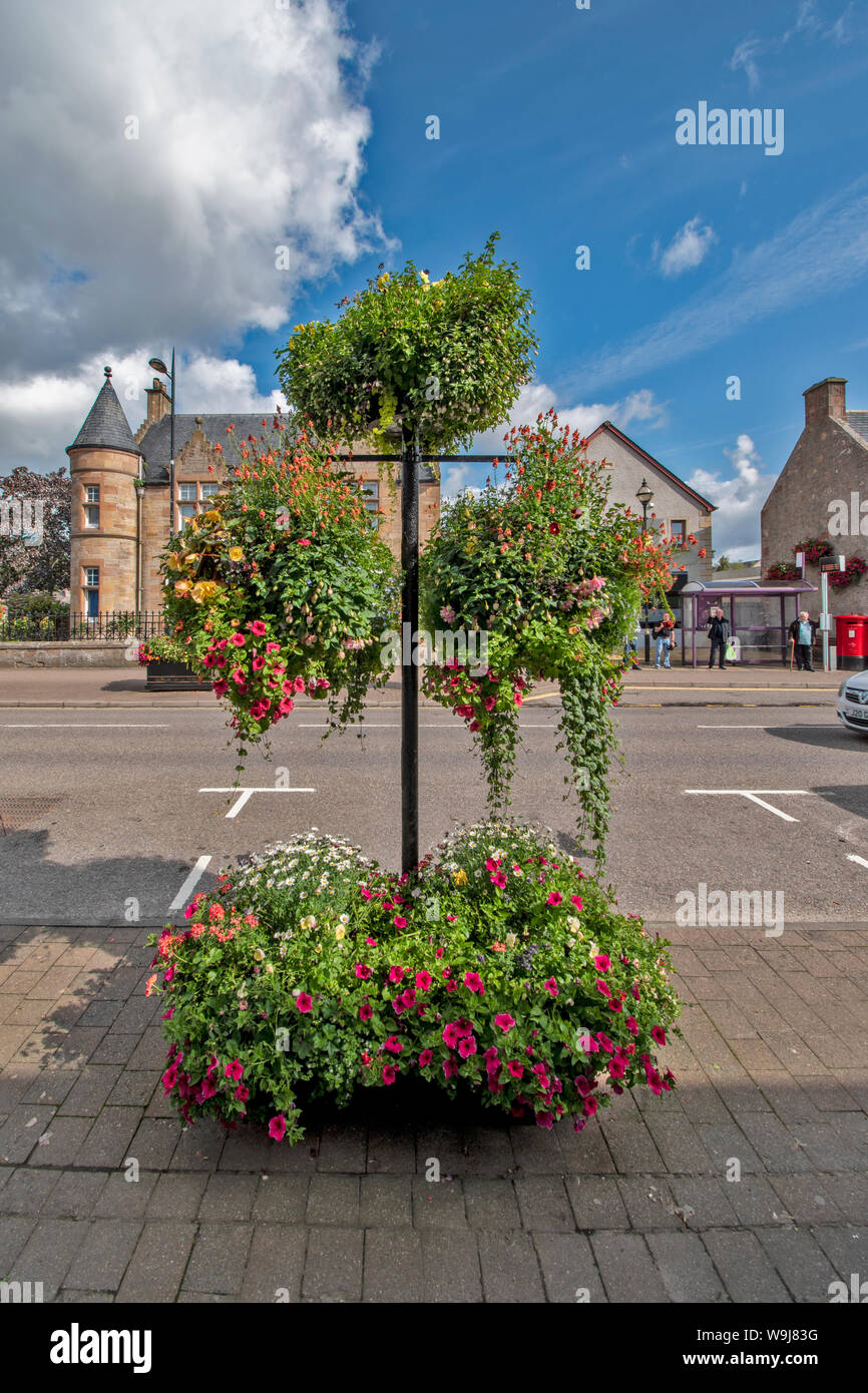 ALNESS ROSS UND CROMARTY SCHOTTLAND DORF STADT IN VOLLER BLÜTE hervorragende Darstellung der Blüten in hängenden KÖRBE UND BEHÄLTER Stockfoto