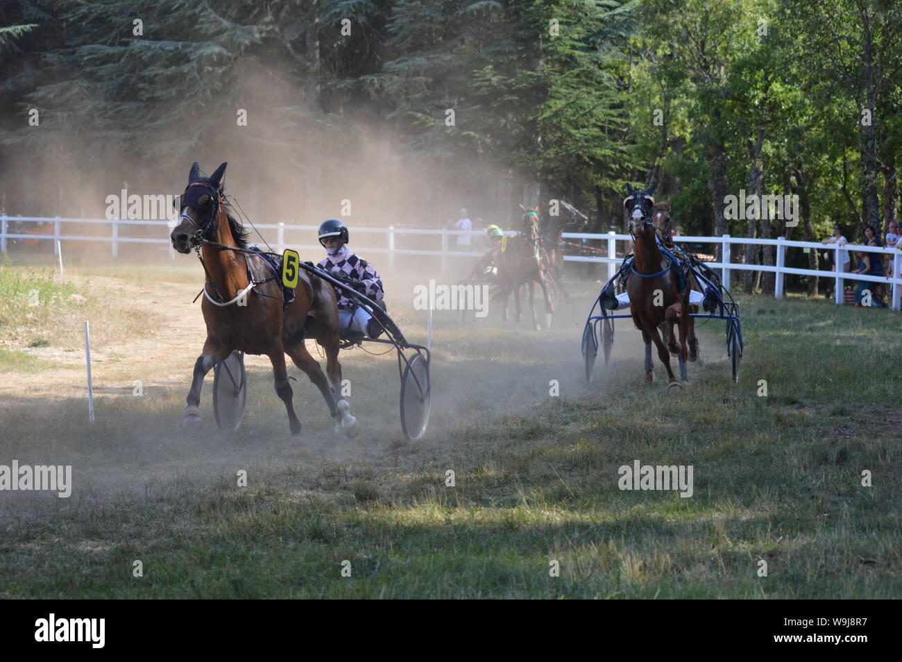 Pferderennbahn in Sault, Provence-Alpes-Côte d'Azur - Frankreich. 11. August 2019. Das einzige Pferd Rennen im Jahr Stockfoto