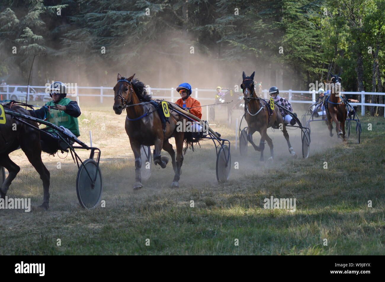 Pferderennbahn in Sault, Provence-Alpes-Côte d'Azur - Frankreich. 11. August 2019. Das einzige Pferd Rennen im Jahr Stockfoto