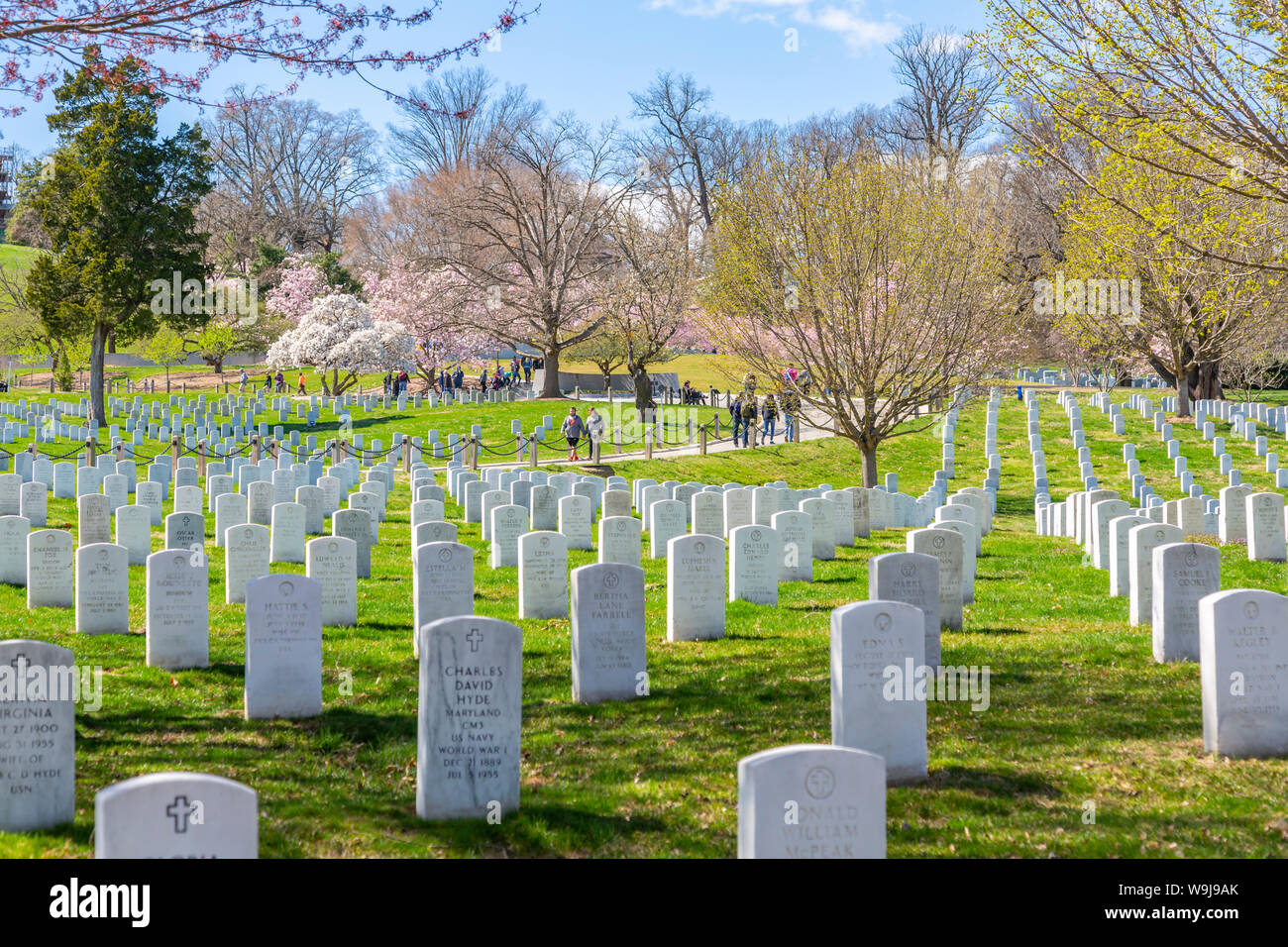 Blick auf die Grabsteine in den nationalen Friedhof von Arlington, Washington DC, District of Columbia, Vereinigte Staaten von Amerika Stockfoto