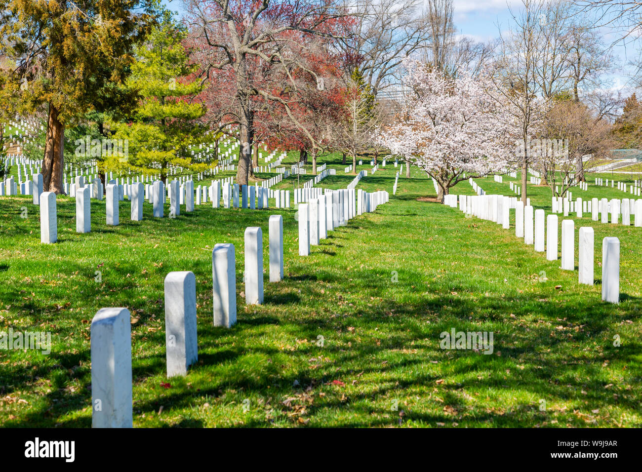 Blick auf die Grabsteine in den nationalen Friedhof von Arlington, Washington DC, District of Columbia, Vereinigte Staaten von Amerika Stockfoto