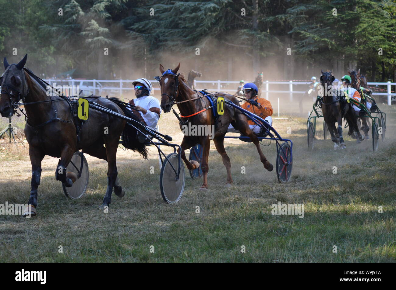 Pferderennbahn in Sault, Provence-Alpes-Côte d'Azur - Frankreich. 11. August 2019. Das einzige Pferd Rennen im Jahr Stockfoto