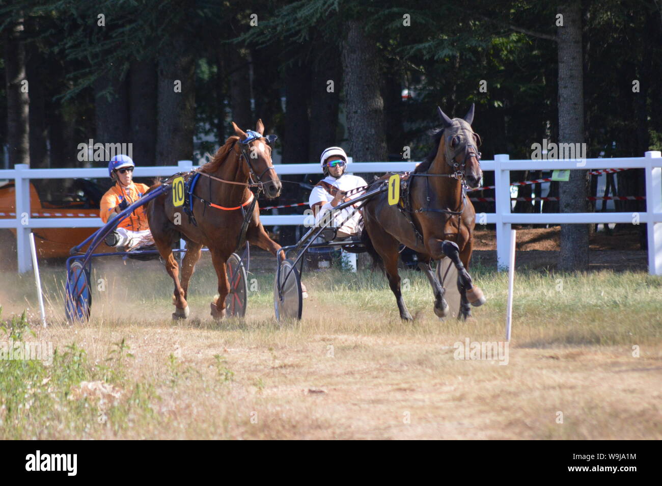 Pferderennbahn in Sault, Provence-Alpes-Côte d'Azur - Frankreich. 11. August 2019. Das einzige Pferd Rennen im Jahr Stockfoto