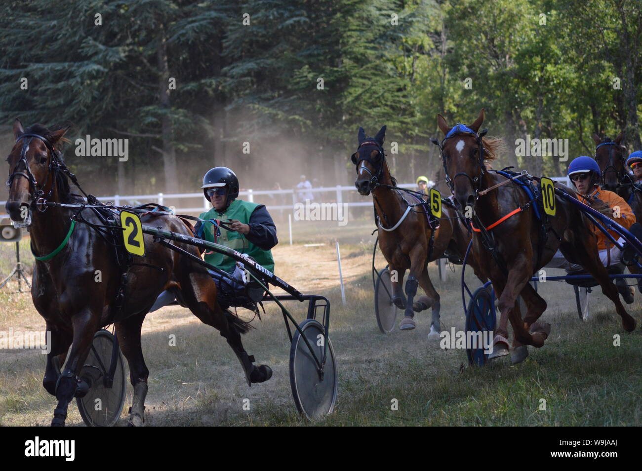 Pferderennbahn in Sault, Provence-Alpes-Côte d'Azur - Frankreich. 11. August 2019. Das einzige Pferd Rennen im Jahr Stockfoto