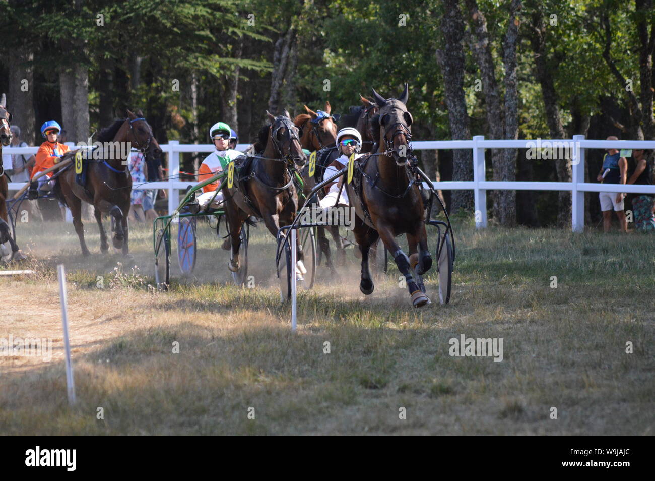 Pferderennbahn in Sault, Provence-Alpes-Côte d'Azur - Frankreich. 11. August 2019. Das einzige Pferd Rennen im Jahr Stockfoto