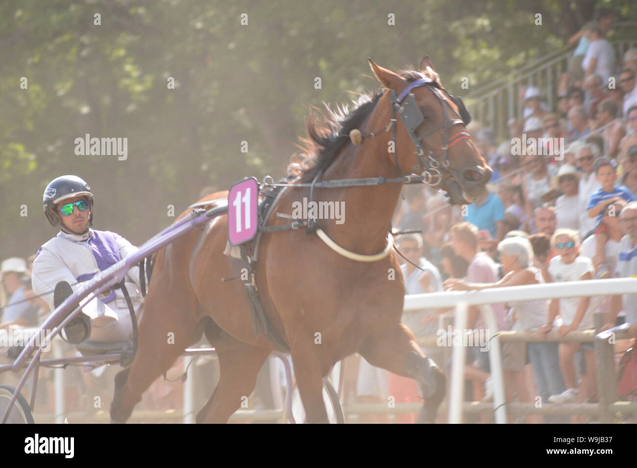 Pferderennbahn in Sault, Provence-Alpes-Côte d'Azur - Frankreich. 11. August 2019. Das einzige Pferd Rennen im Jahr Stockfoto
