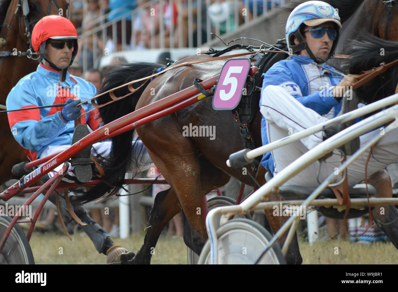 Pferderennbahn in Sault, Provence-Alpes-Côte d'Azur - Frankreich. 11. August 2019. Das einzige Pferd Rennen im Jahr Stockfoto