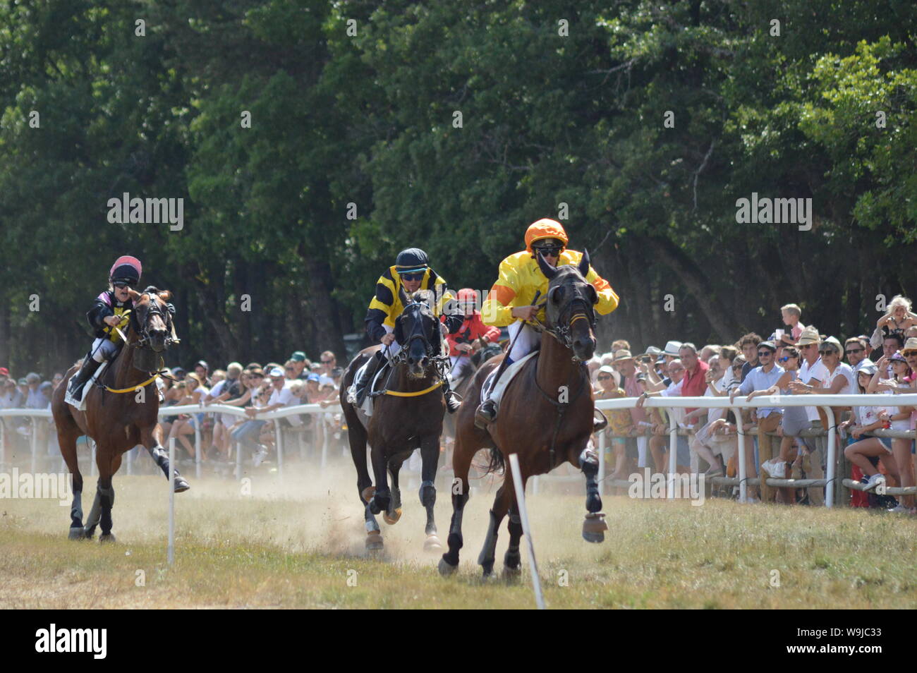 Pferderennbahn in Sault, Provence-Alpes-Côte d'Azur - Frankreich. 11. August 2019. Das einzige Pferd Rennen im Jahr Stockfoto