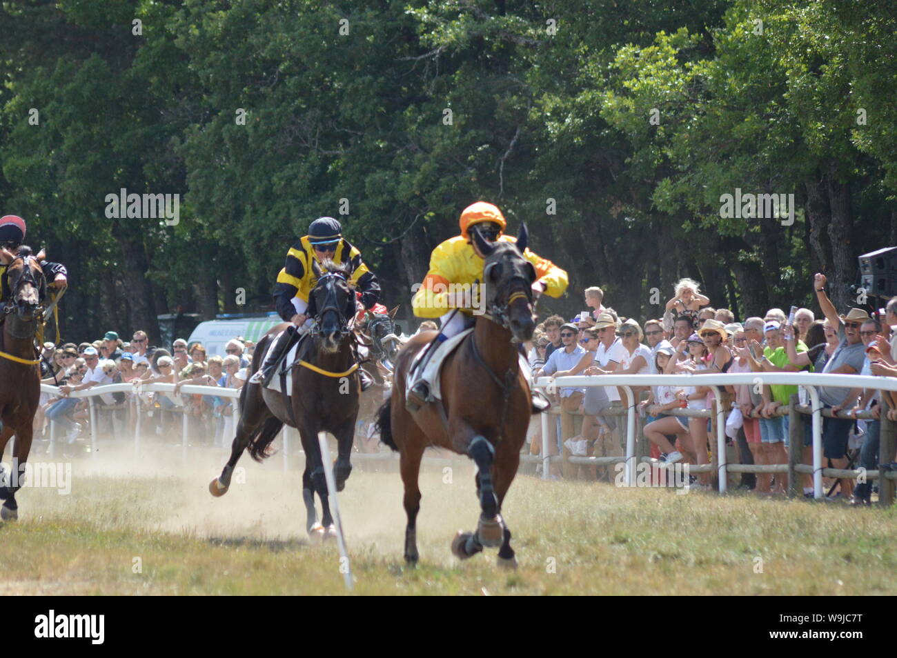 Pferderennbahn in Sault, Provence-Alpes-Côte d'Azur - Frankreich. 11. August 2019. Das einzige Pferd Rennen im Jahr Stockfoto