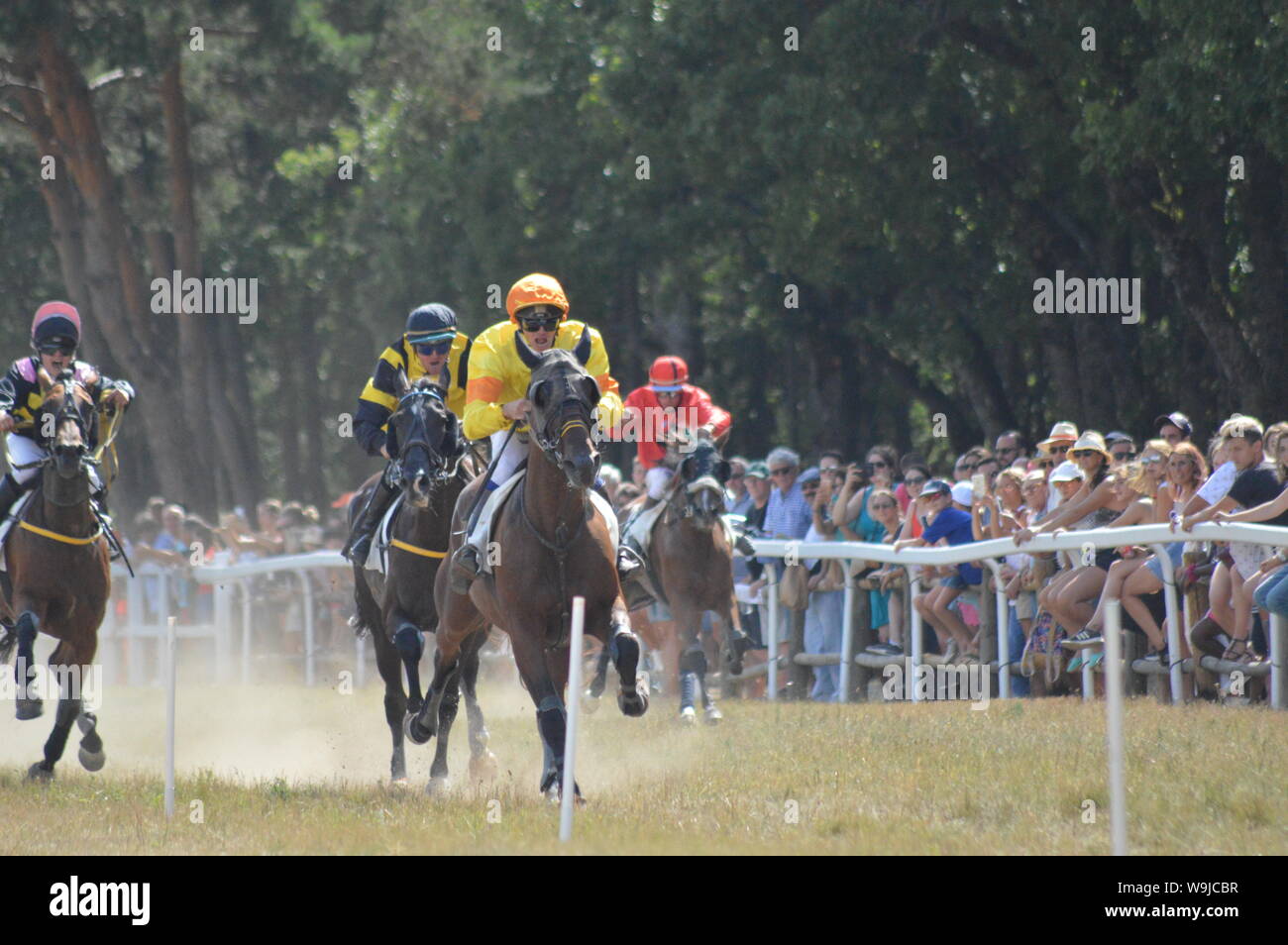 Pferderennbahn in Sault, Provence-Alpes-Côte d'Azur - Frankreich. 11. August 2019. Das einzige Pferd Rennen im Jahr Stockfoto