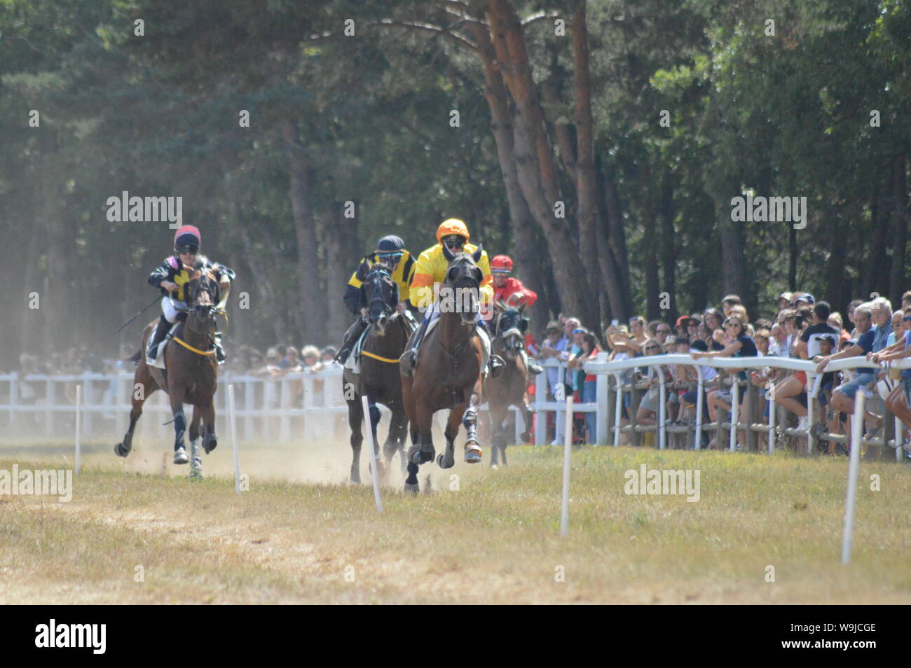 Pferderennbahn in Sault, Provence-Alpes-Côte d'Azur - Frankreich. 11. August 2019. Das einzige Pferd Rennen im Jahr Stockfoto