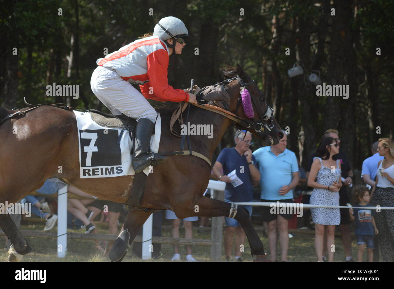 Pferderennbahn in Sault, Provence-Alpes-Côte d'Azur - Frankreich. 11. August 2019. Das einzige Pferd Rennen im Jahr Stockfoto