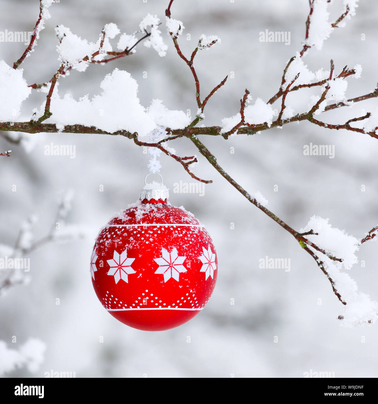 Eine Weihnachtskugel verschneitem Ast Stockfoto