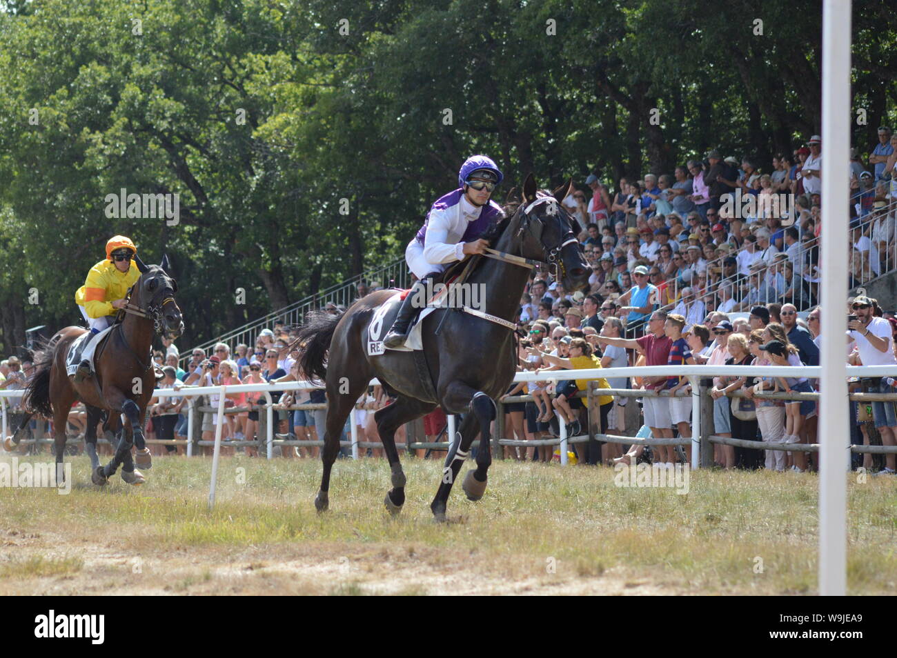 Pferderennbahn in Sault, Provence-Alpes-Côte d'Azur - Frankreich. 11. August 2019. Das einzige Pferd Rennen im Jahr Stockfoto