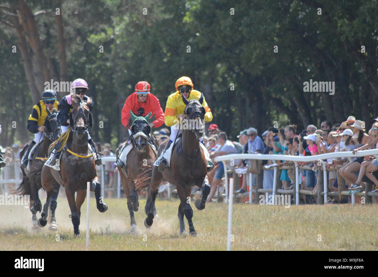 Pferderennbahn in Sault, Provence-Alpes-Côte d'Azur - Frankreich. 11. August 2019. Das einzige Pferd Rennen im Jahr Stockfoto