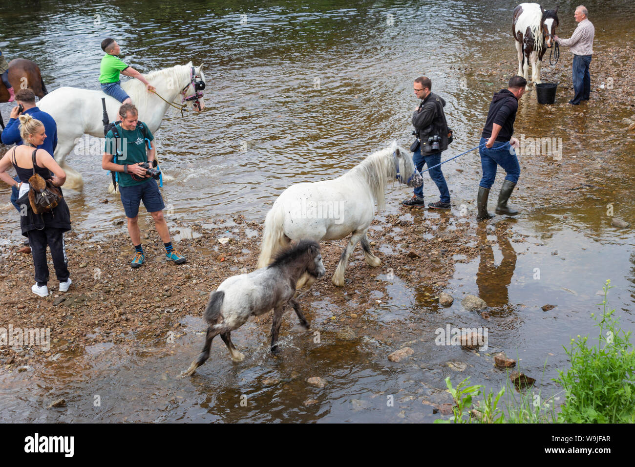 Appleby-in-Westmorland, Cumbria, England. Appleby Horse Fair, eine jährliche Zusammenkunft der Sinti und Roma und der Fahrenden und ihre Pferde. Stockfoto