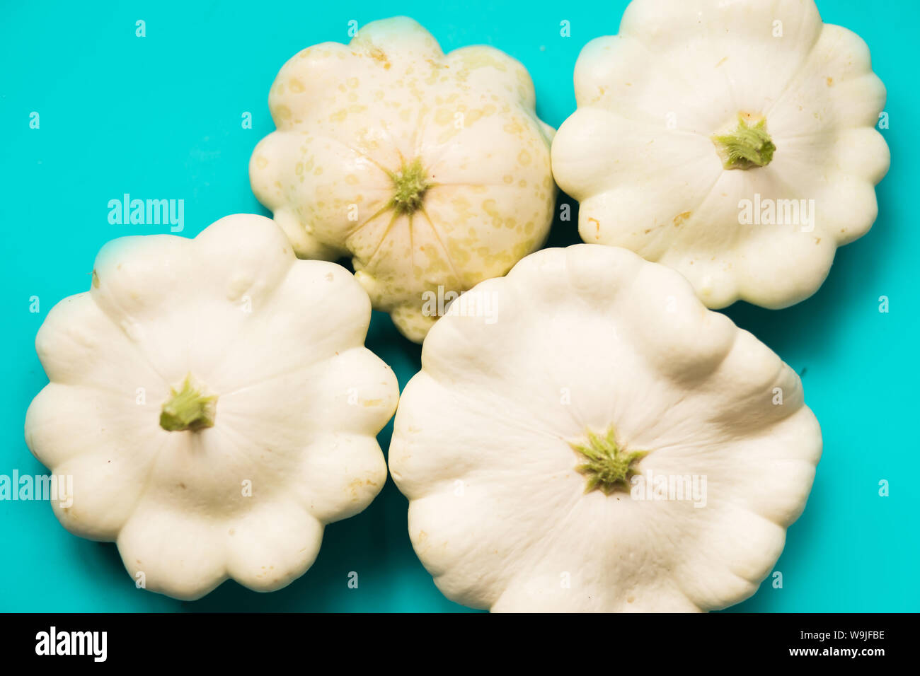 Frische Pattison auf blauem Hintergrund, Sommer essen Stockfoto