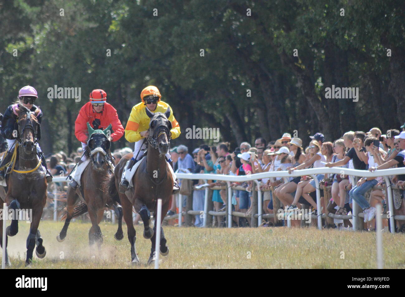 Pferderennbahn in Sault, Provence-Alpes-Côte d'Azur - Frankreich. 11. August 2019. Das einzige Pferd Rennen im Jahr Stockfoto