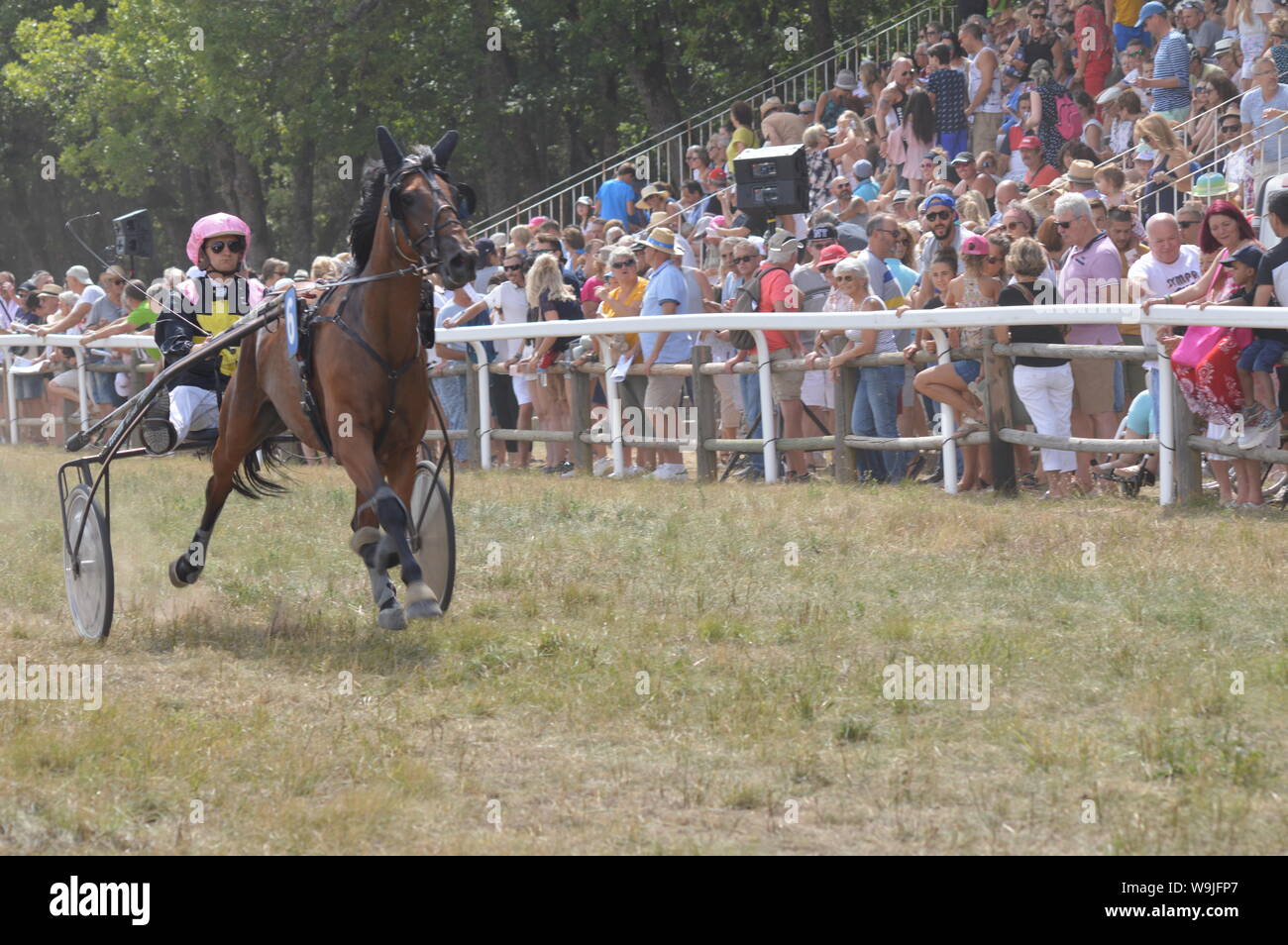 Pferderennbahn in Sault, Provence-Alpes-Côte d'Azur - Frankreich. 11. August 2019. Das einzige Pferd Rennen im Jahr Stockfoto