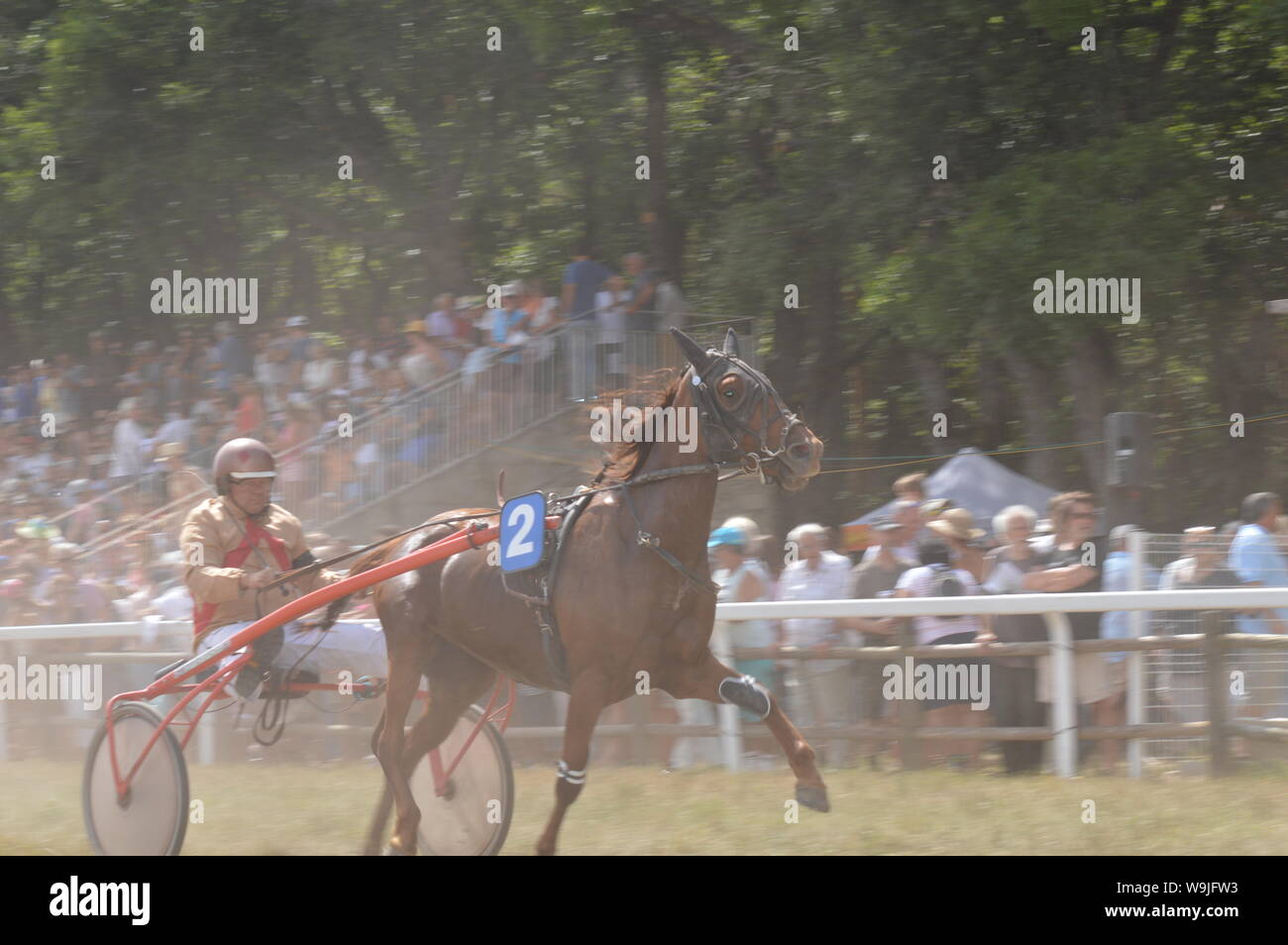 Pferderennbahn in Sault, Provence-Alpes-Côte d'Azur - Frankreich. 11. August 2019. Das einzige Pferd Rennen im Jahr Stockfoto