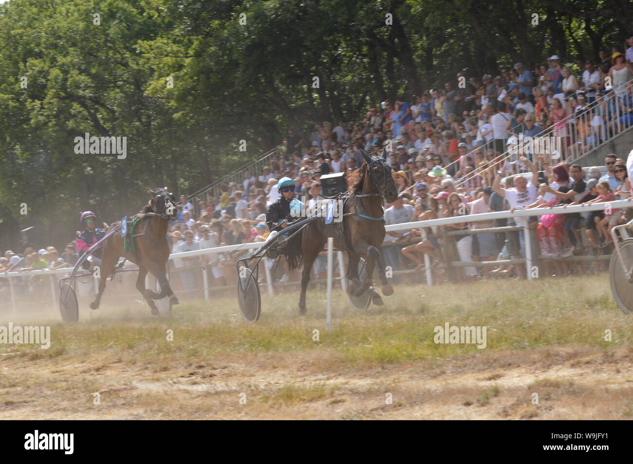 Pferderennbahn in Sault, Provence-Alpes-Côte d'Azur - Frankreich. 11. August 2019. Das einzige Pferd Rennen im Jahr Stockfoto