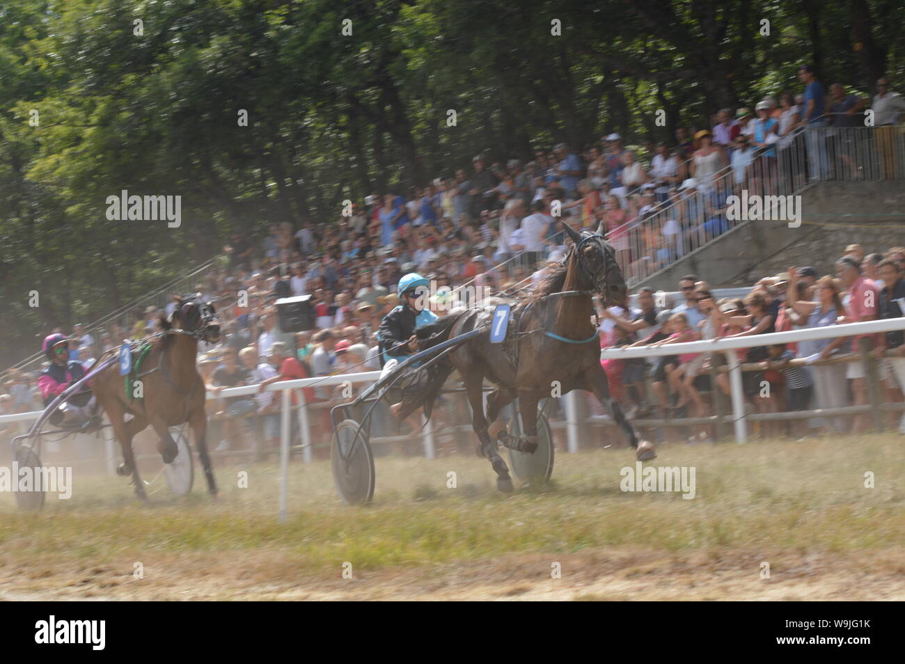 Pferderennbahn in Sault, Provence-Alpes-Côte d'Azur - Frankreich. 11. August 2019. Das einzige Pferd Rennen im Jahr Stockfoto