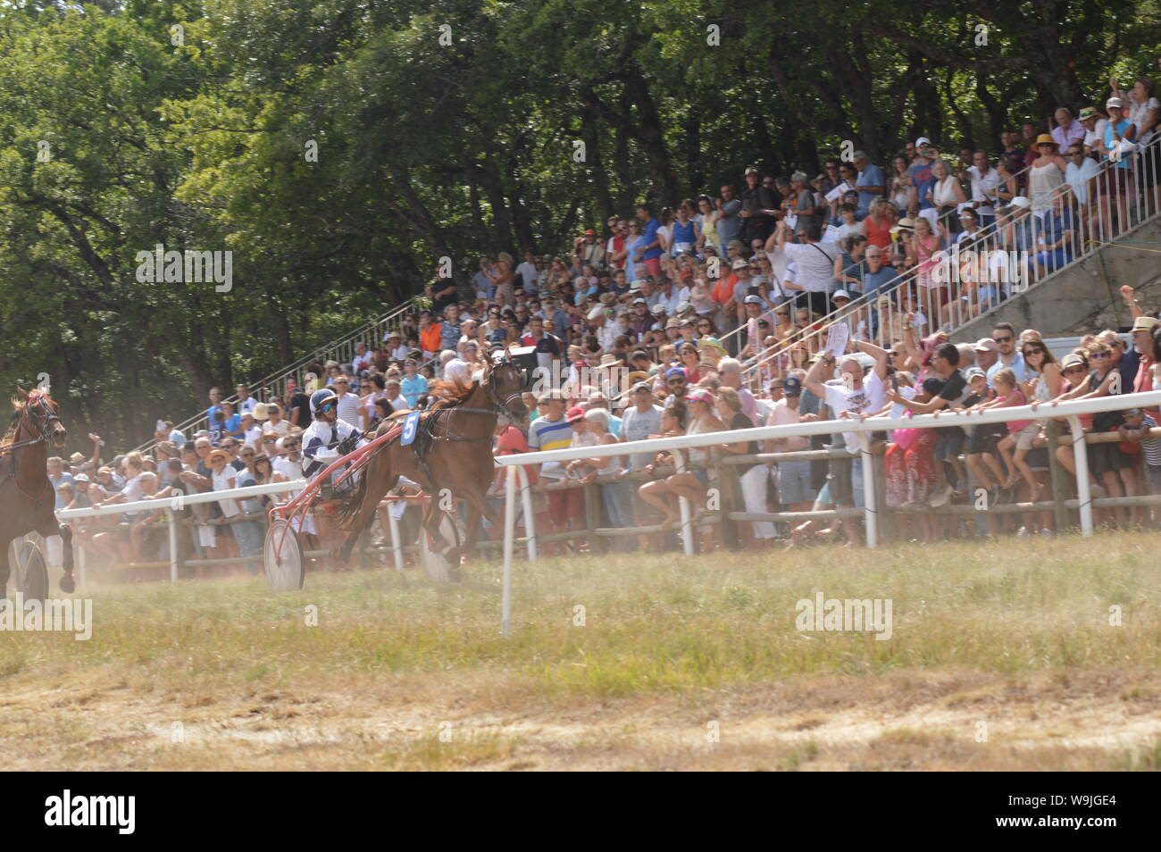 Pferderennbahn in Sault, Provence-Alpes-Côte d'Azur - Frankreich. 11. August 2019. Das einzige Pferd Rennen im Jahr Stockfoto