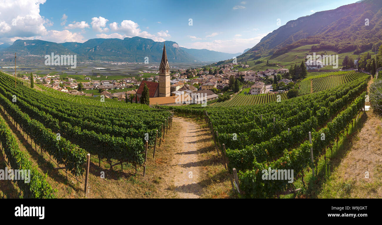 Blick auf das Dorf und seine Weinberge, Tramin an der Weinstraße - Tramin sulla Strada del Vino,, Südtirol - Alto Adige, Italien, 30071329 *** Lokale C Stockfoto