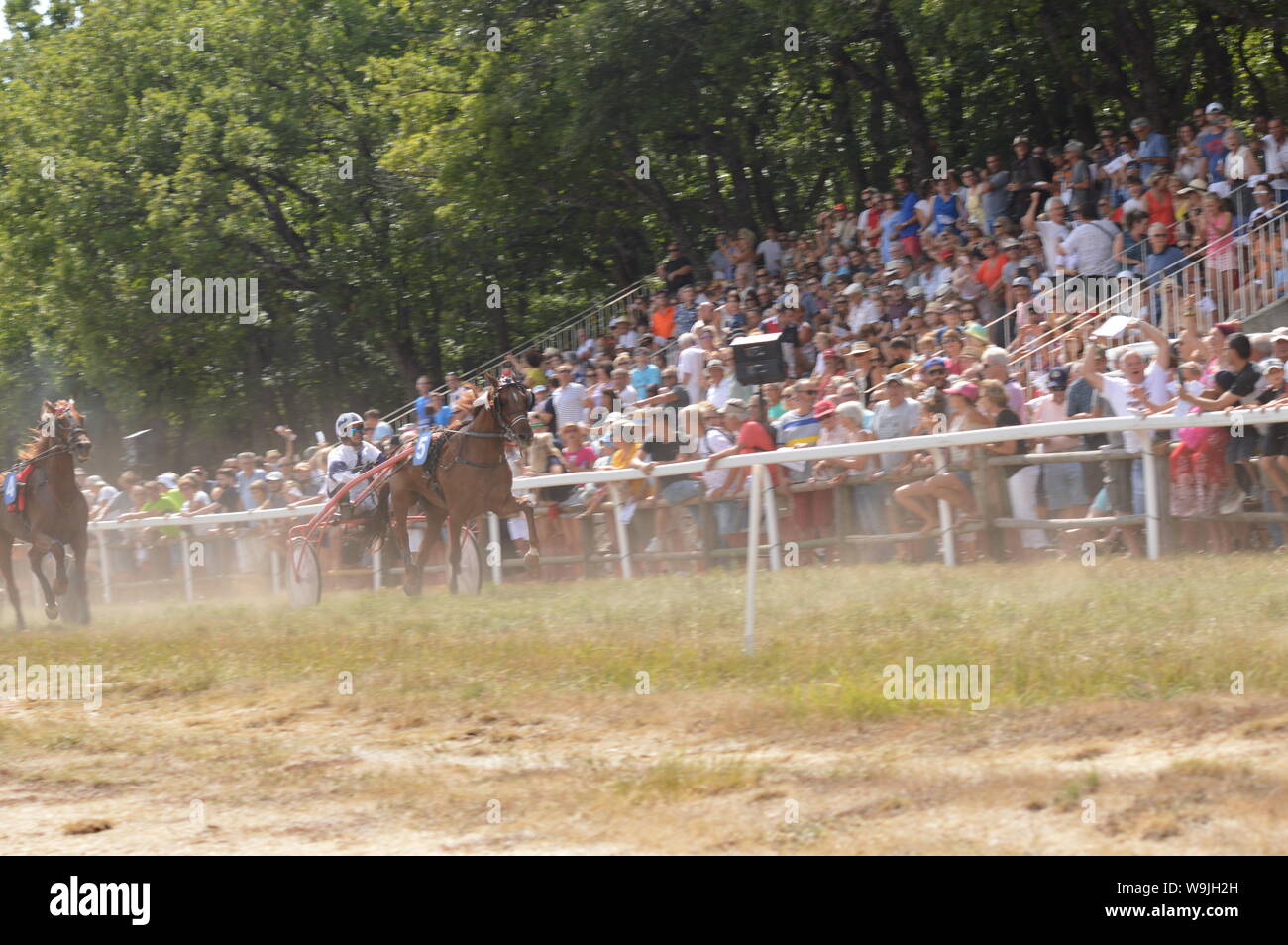 Pferderennbahn in Sault, Provence-Alpes-Côte d'Azur - Frankreich. 11. August 2019. Das einzige Pferd Rennen im Jahr Stockfoto