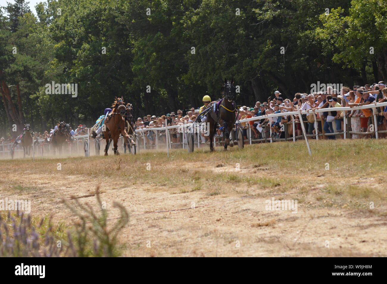 Pferderennbahn in Sault, Provence-Alpes-Côte d'Azur - Frankreich. 11. August 2019. Das einzige Pferd Rennen im Jahr Stockfoto