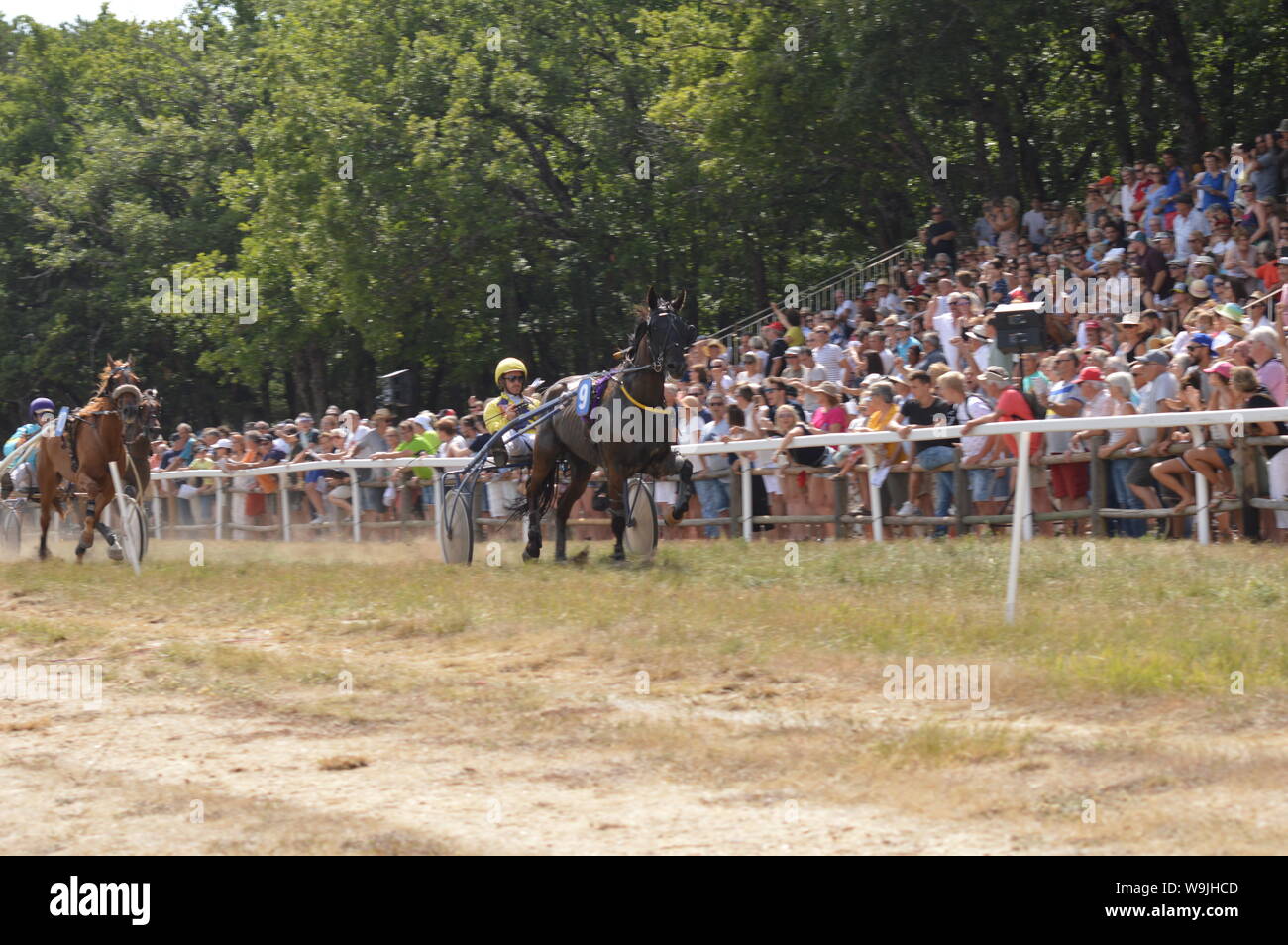 Pferderennbahn in Sault, Provence-Alpes-Côte d'Azur - Frankreich. 11. August 2019. Das einzige Pferd Rennen im Jahr Stockfoto