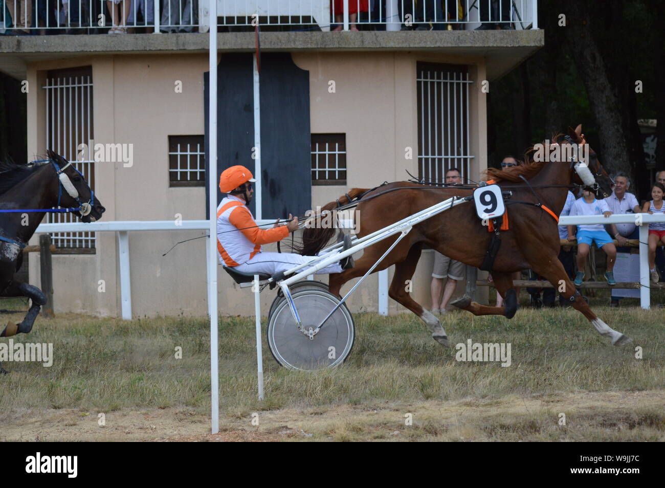 Pferderennbahn in Sault, Provence-Alpes-Côte d'Azur - Frankreich. 11. August 2019. Das einzige Pferd Rennen im Jahr Stockfoto