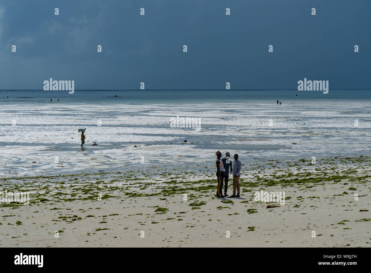 Die Menschen vor Ort am Strand bei Ebbe in der Nähe einer Algen Farm. Ostküste, Sansibar Stockfoto