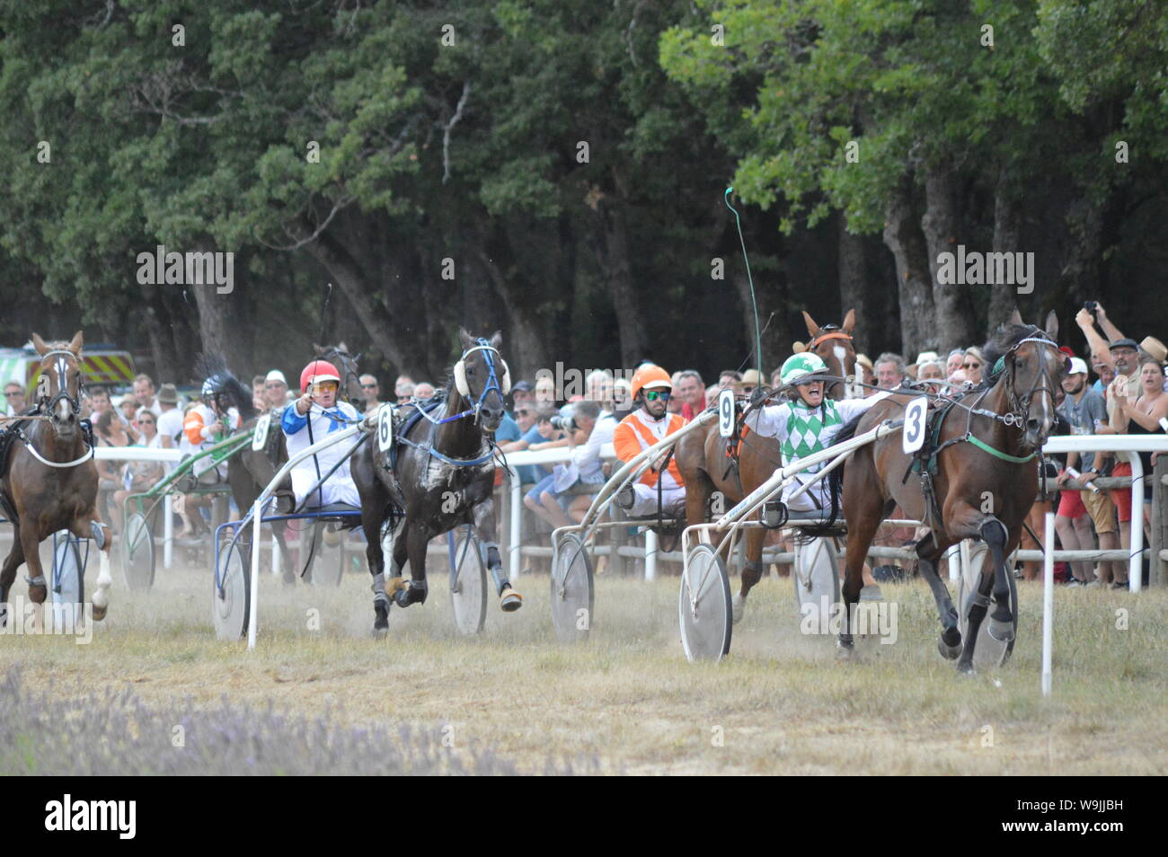 Pferderennbahn in Sault, Provence-Alpes-Côte d'Azur - Frankreich. 11. August 2019. Das einzige Pferd Rennen im Jahr Stockfoto